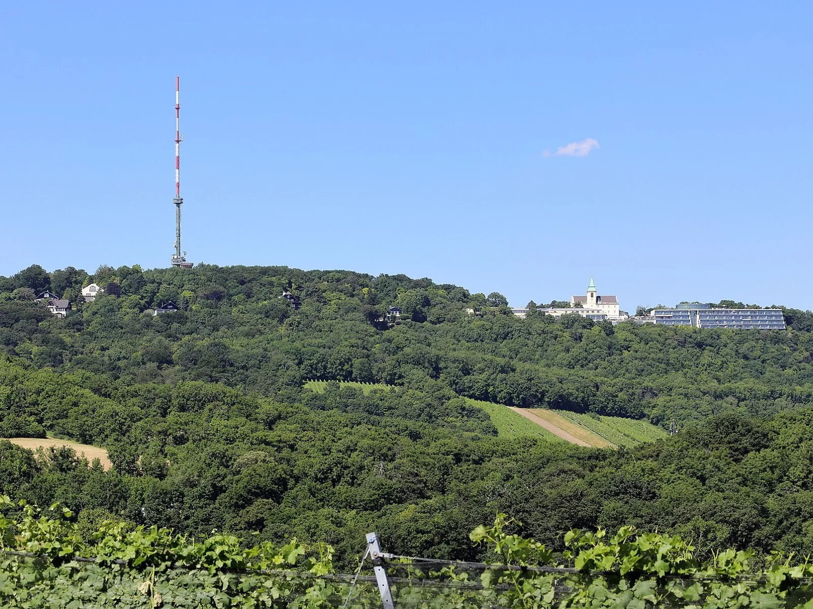 Blick vom Kahlenberg