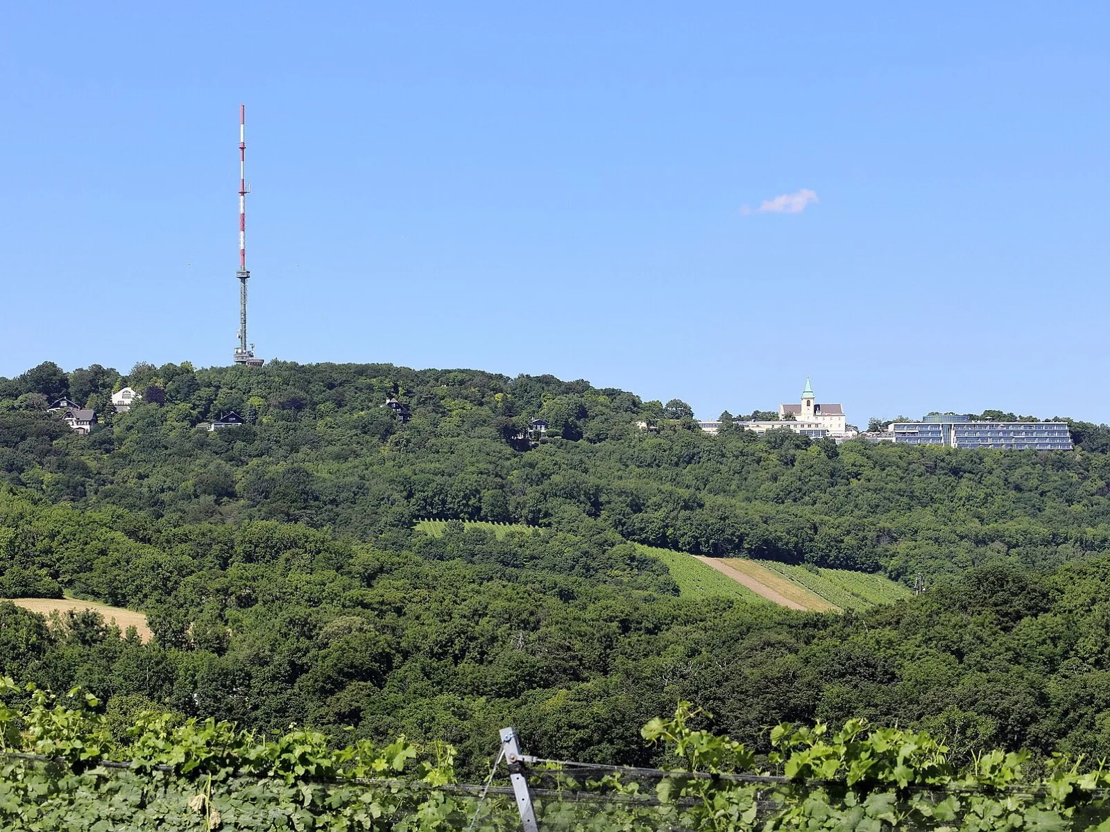 Blick vom Kahlenberg